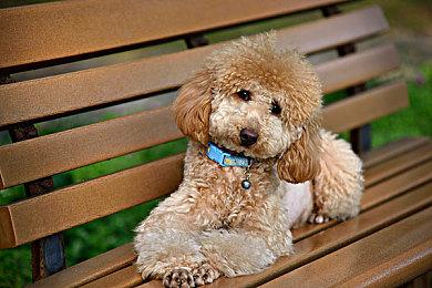 屏幕很能挨砸！Switch 2被锤子砸了50次后还能正常玩